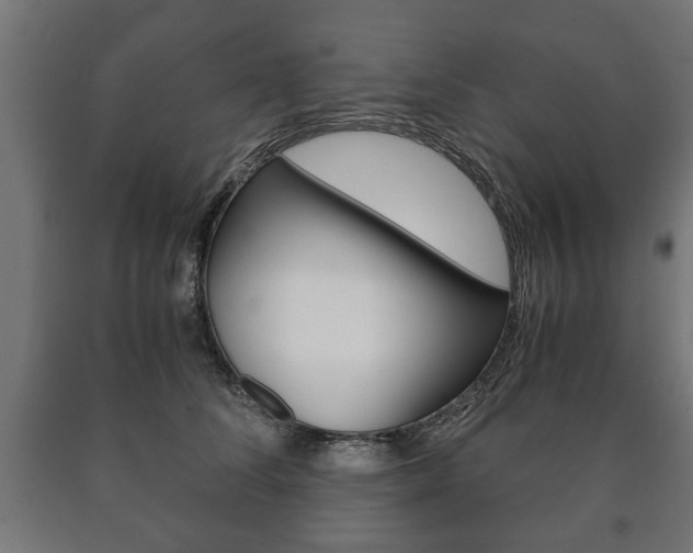 X0000090990708200708021204