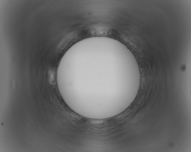 X0000090990709200708021204