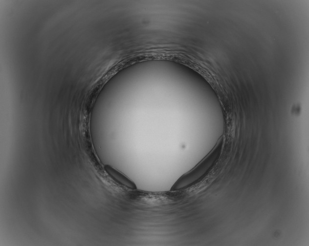X0000090990712200708021204