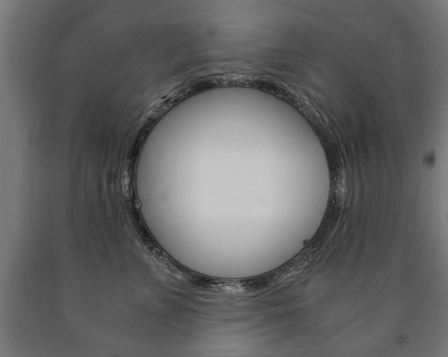 X0000090990715200708021204