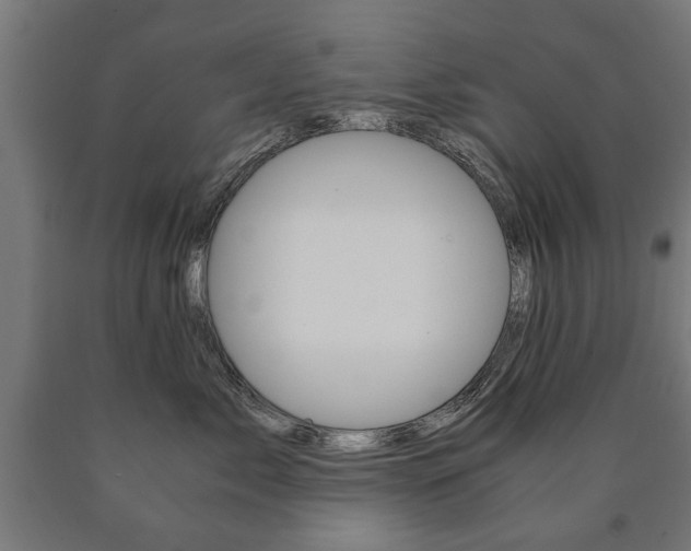 X0000090990717200708021203