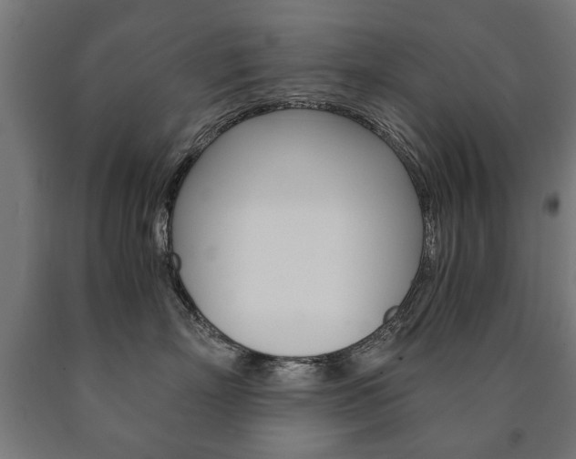 X0000090990718200708021203