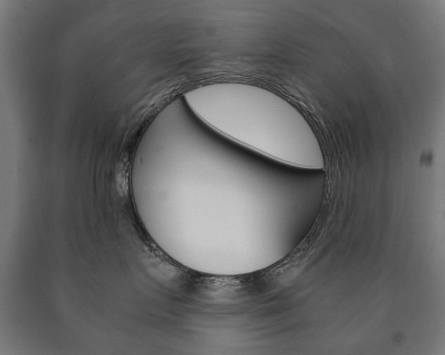 X0000090990719200708021203
