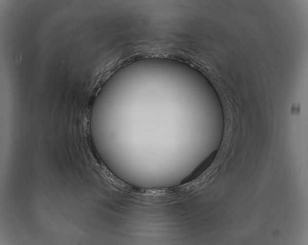 X0000090990720200708021203