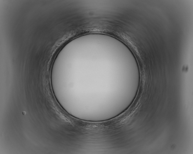 X0000090990721200708021203