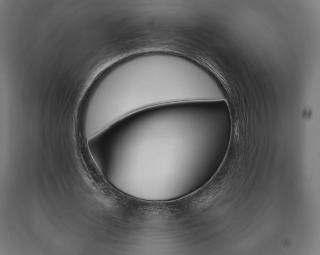 X0000090990724200708021203
