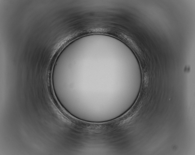 X0000090990725200708021203
