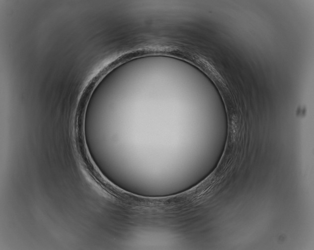 X0000090990726200708021203