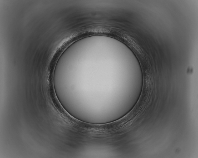 X0000090990727200708021203