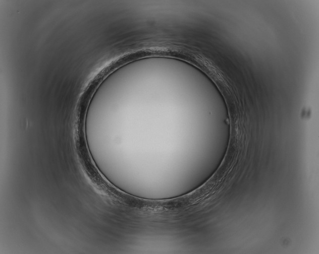 X0000090990728200708021203