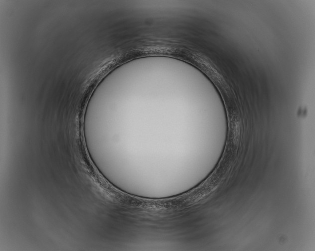 X0000090990729200708021203