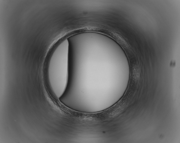 X0000090990730200708021203