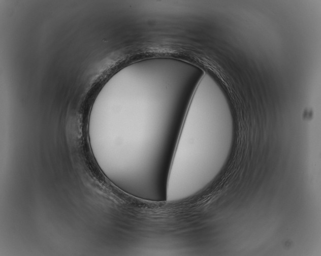 X0000090990731200708021203