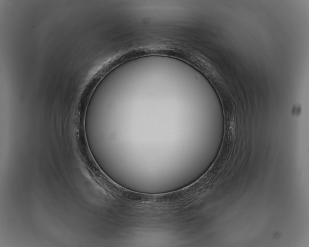 X0000090990732200708021203