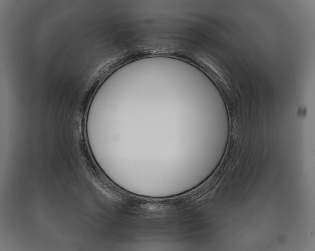 X0000090990733200708021203