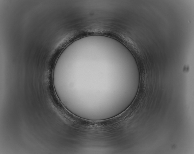 X0000090990735200708021203