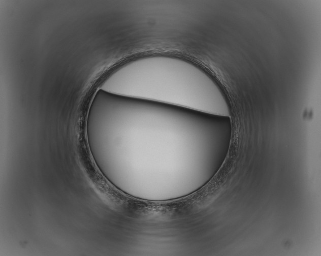 X0000090990736200708021203