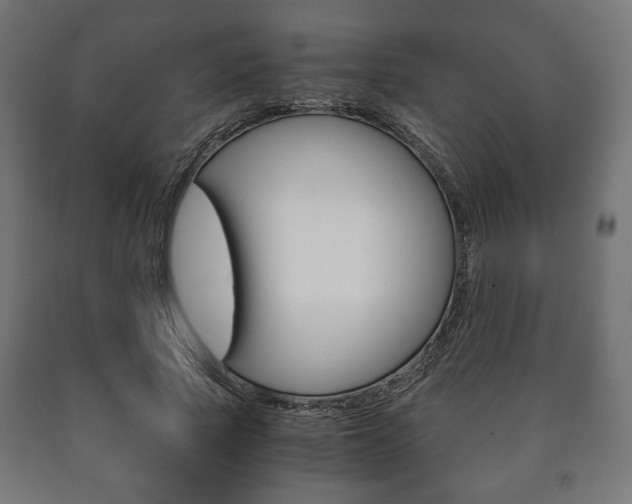 X0000090990737200708021203