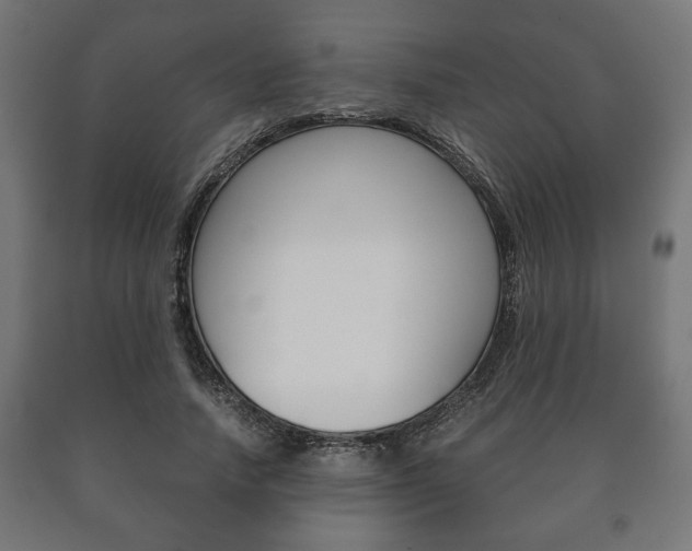 X0000090990738200708021203