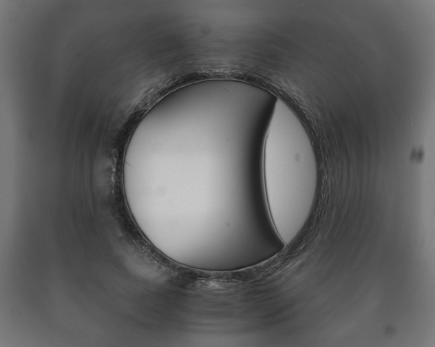 X0000090990739200708021203