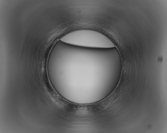 X0000090990740200708021203