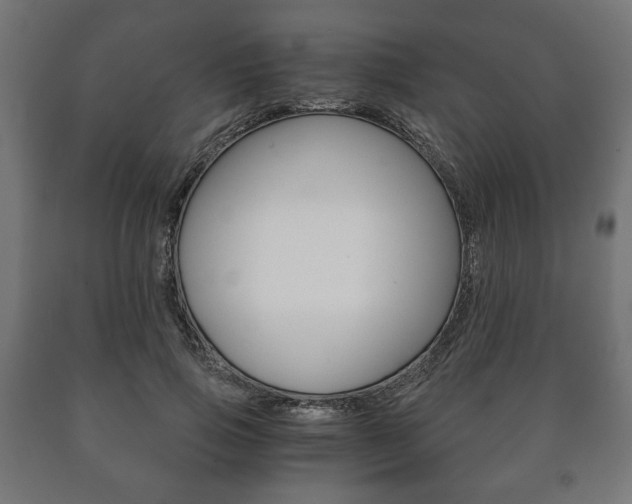 X0000090990741200708021203