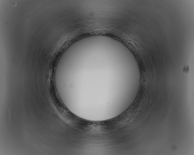X0000090990742200708021203