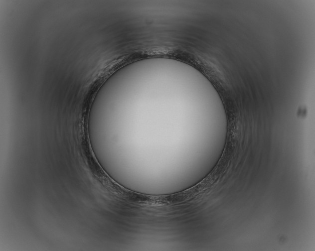 X0000090990743200708021203