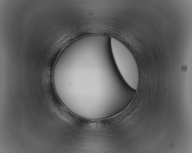X0000090990744200708021203