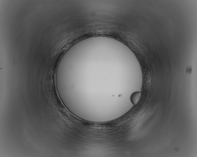 X0000090990746200708021203