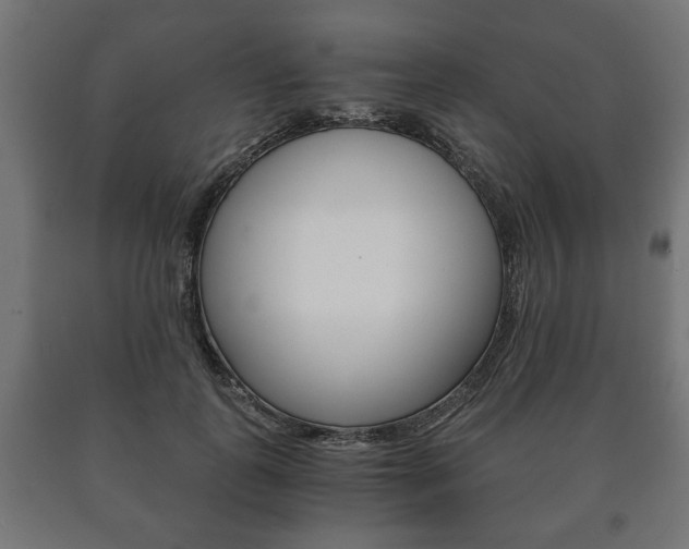 X0000090990747200708021203