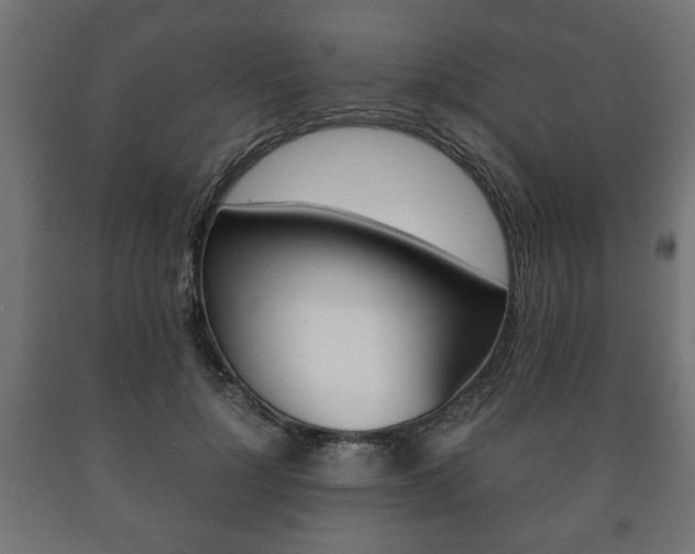 X0000090990748200708021203