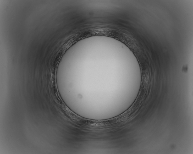 X0000090990749200708021203