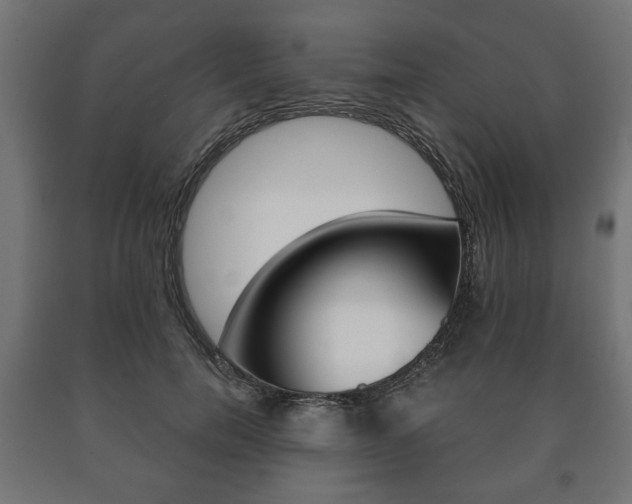 X0000090990750200708021203