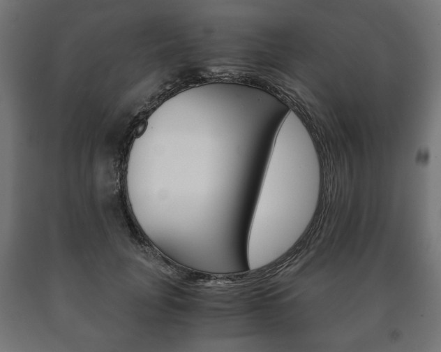 X0000090990751200708021203