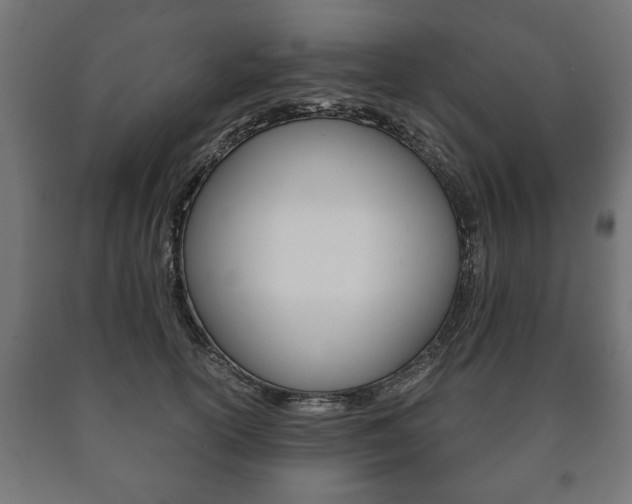 X0000090990754200708021203