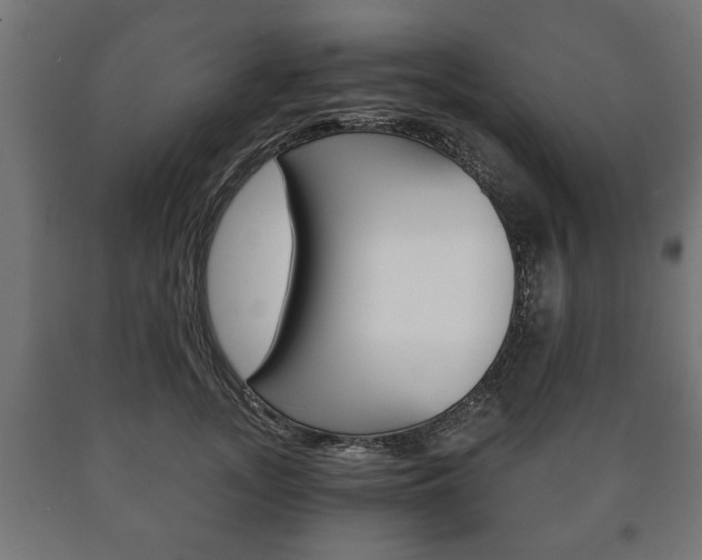 X0000090990755200708021203