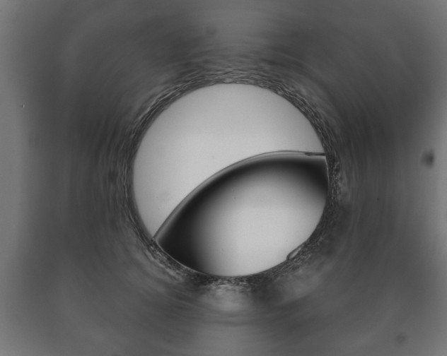 X0000090990756200708021203