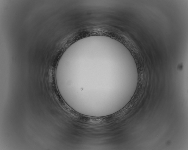 X0000090990757200708021203