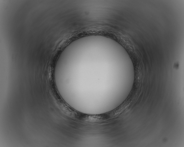 X0000090990758200708021203