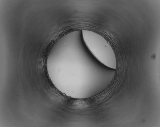 X0000090990759200708021203