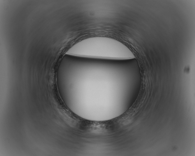 X0000090990760200708021203