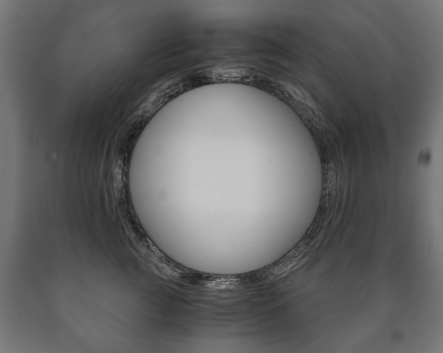 X0000090990761200708021203