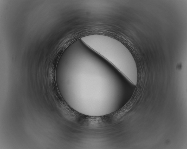 X0000090990762200708021203