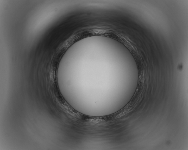 X0000090990763200708021203