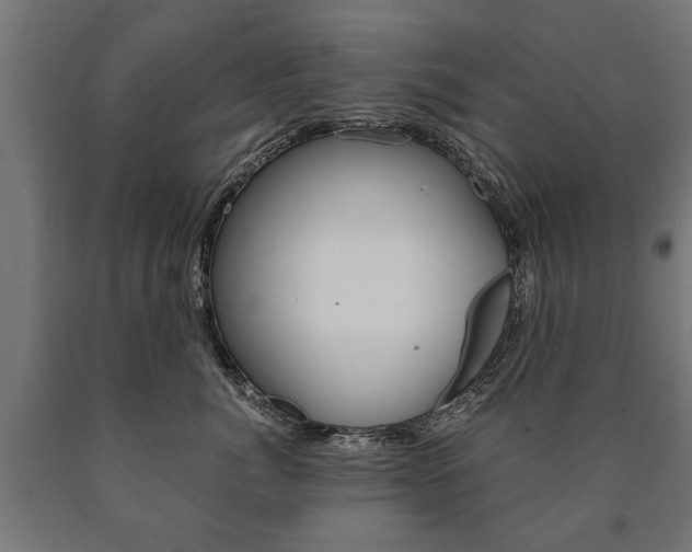 X0000090990764200708021203
