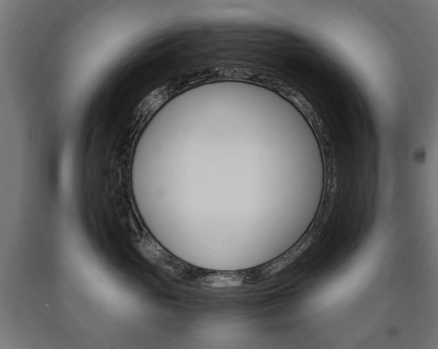 X0000090990765200708021203