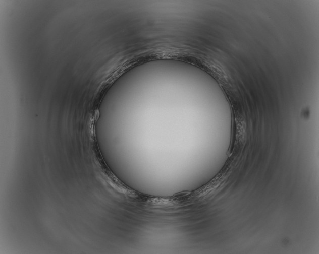 X0000090990766200708021203