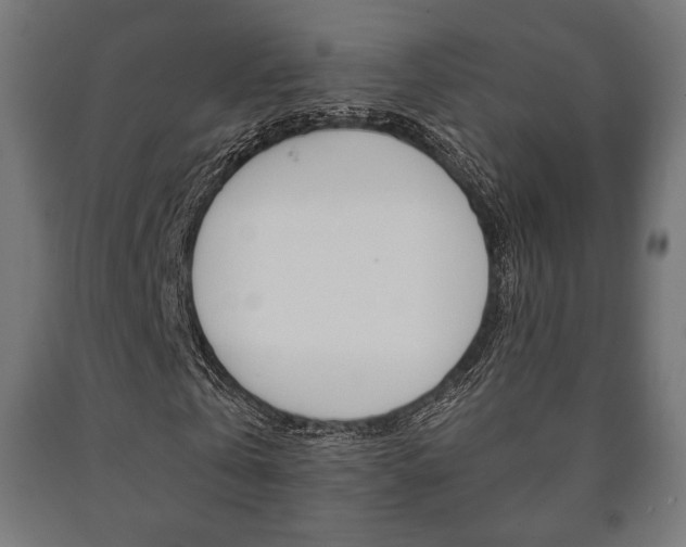 X0000090990769200708021203