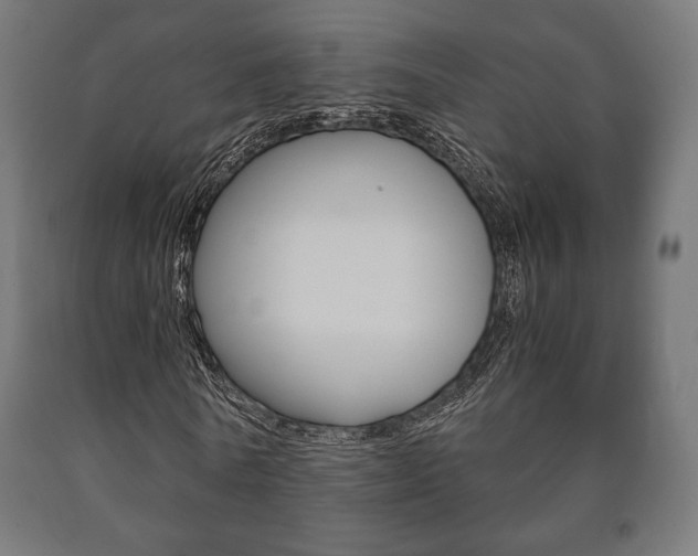 X0000090990770200708021203